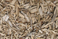 biomass boilers Cooksongreen